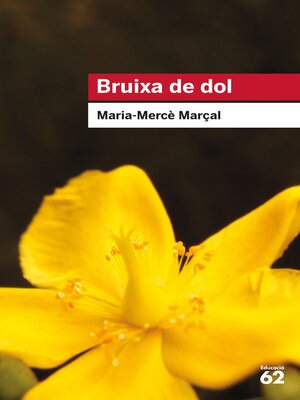 cover image of Bruixa de dol (1977-1979)